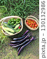 （縦位置）夏野菜の収穫 130132986