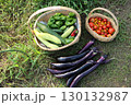 （横位置）夏野菜の収穫 130132987
