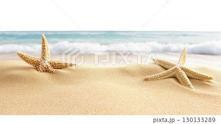 Starfish on Beach Shore 130133289