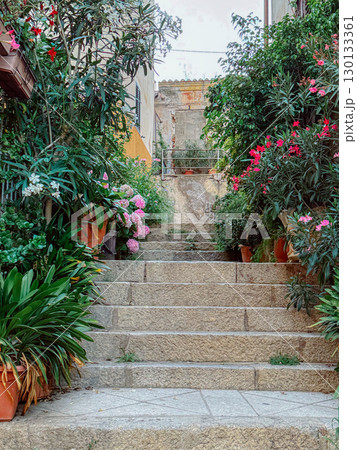 Stone steps lead upward, framed by vibrant floral arrangements and lush greenery. Pink and red blooms in terracotta pots enhance the rustic charm of this picturesque outdoor scene. 130133361