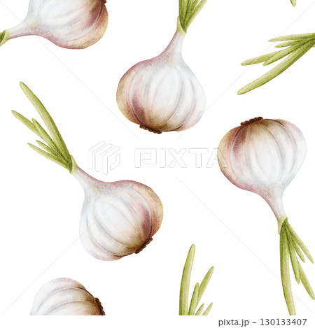 Watercolor garlic with green leaves seamless pattern on white. Onion simple illustration with bulbs and growing plant stem. Hand drawn botanical vegetable repeat background in for spicy food designs Watercolor garlic with green leaves seamless pattern on white. Onion simple illustration with bulbs and growing plant stem. Hand drawn botanical vegetable repeat background in for spicy food designs 130133407