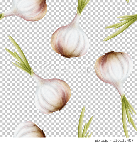 Watercolor garlic with green leaves seamless pattern on white. Onion simple illustration with bulbs and growing plant stem. Hand drawn botanical vegetable repeat background in for spicy food designs Watercolor garlic with green leaves seamless pattern on white. Onion simple illustration with bulbs and growing plant stem. Hand drawn botanical vegetable repeat background in for spicy food designs 130133407