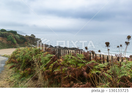 Seaside landscape in Armor Coast, Brittany in France 130133725