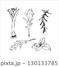 Herbs and Greens Hand Drawn Sketch Set 130133785