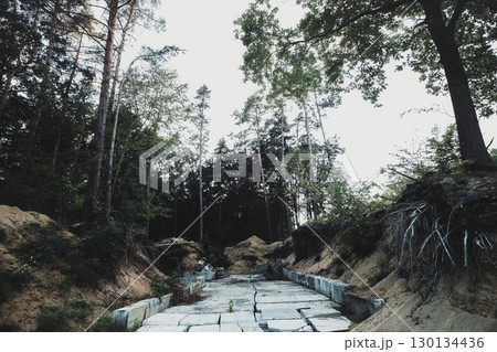 Landslide and destroyed road in pine woodland. Ahead road ruin, post apocalyptic atmospheric mood Landslide and destroyed road in pine woodland. Ahead road ruin, post apocalyptic atmospheric mood 130134436