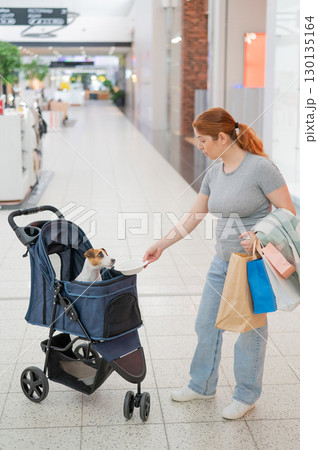 Caucasian woman walks through a shopping center with her Jack Russell Terrier dog in a stroller. Caucasian woman walks through a shopping center with her Jack Russell Terrier dog in a stroller. 130135164