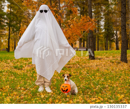 Woman in white sheet and jack russell terrier dog holding jack o latrine in autumn forest. Halloween costume. Woman in white sheet and jack russell terrier dog holding jack o latrine in autumn forest. Halloween costume. 130135337