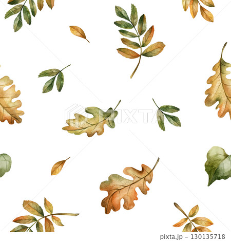 Oak Rowan Leaves Autumn forest gold foliage Watercolor hand painted floral seamless pattern on white background for fall design cozy prints cute home textile botanical wrapping paper wallpaper fabric Oak Rowan Leaves Autumn forest gold foliage Watercolor hand painted floral seamless pattern on white background for fall design cozy prints cute home textile botanical wrapping paper wallpaper fabric 130135718