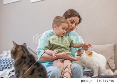 Caucasian woman with her son in a cat cafe. Caucasian woman with her son in a cat cafe. 130135740