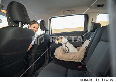 Caucasian woman travels by car with her dog. Jack Russell Terrier in a special car seat.  130135839