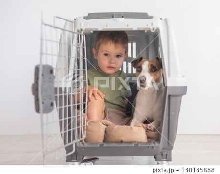 Little child in a cage with a Jack Russell Terrier dog. Little child in a cage with a Jack Russell Terrier dog. 130135888