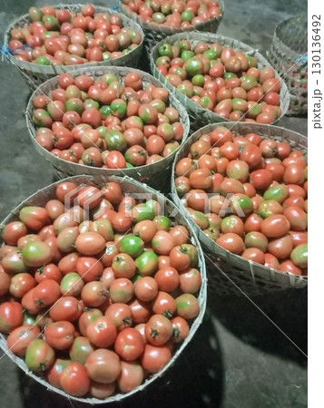 Juicy, ripe tomatoes with a bright red hue and a refreshing, tangy-sweet flavor. Versatile and nutritious, theyre perfect for salads, sauces, or as a vibrant addition to various dishes. Juicy, ripe tomatoes with a bright red hue and a refreshing, tangy-sweet flavor. Versatile and nutritious, theyre perfect for salads, sauces, or as a vibrant addition to various dishes. 130136492