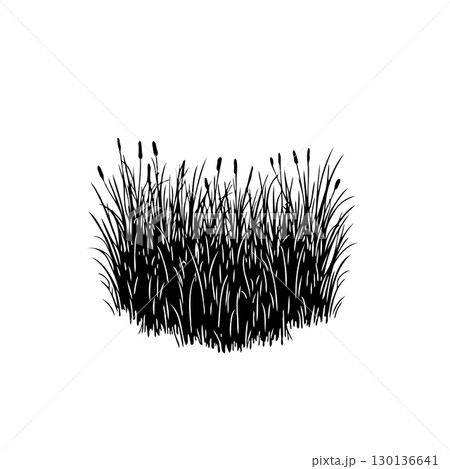 Elegant Silhouette of Cattails and Reeds in a Minimalist Design Illustration Elegant Silhouette of Cattails and Reeds in a Minimalist Design Illustration 130136641