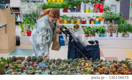 A woman shops at a grocery store with her Jack Russell terrier dog in a stroller. 130136678