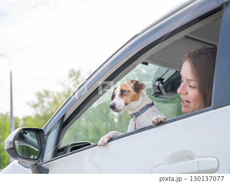 Caucasian woman looking out of car window with dog. Caucasian woman looking out of car window with dog. 130137077