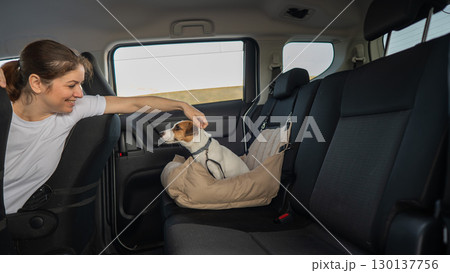 Caucasian woman travels by car with her dog. Jack Russell Terrier in a special car seat. Caucasian woman travels by car with her dog. Jack Russell Terrier in a special car seat. 130137756