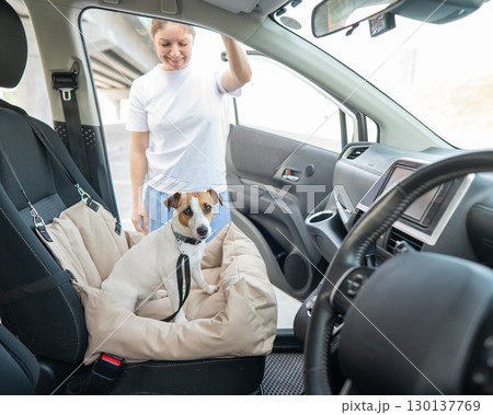 Caucasian woman travels by car with her dog. Jack Russell Terrier in a special car seat.  130137769