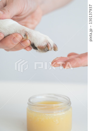 The owner puts wax on the dog's paws.  The owner puts wax on the dog's paws.  130137937