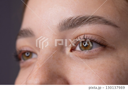 Close-up portrait of a woman after eyelash lamination procedure. Close-up portrait of a woman after eyelash lamination procedure. 130137989