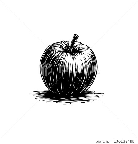 Monochrome Apple Illustration: Detailed Engraving Style on Clean White Background 130138499