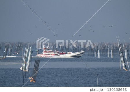 大牟田市　有明海　海苔畑、 130138658