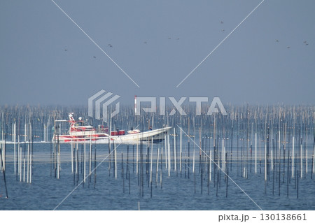 大牟田市 有明海 海苔畑、 大牟田市 有明海 海苔畑、 130138661