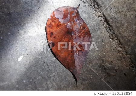 red leaf on the stone 130138854