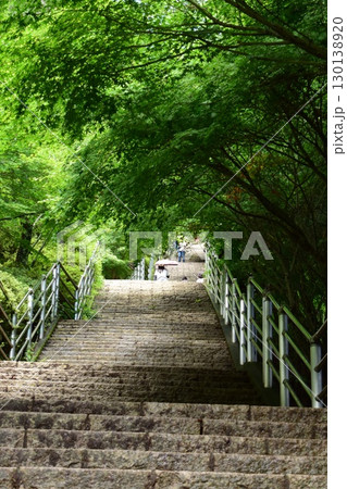新倉山浅間公園に続く階段 新倉山浅間公園に続く階段 130138920