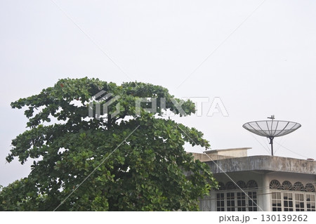 satellite dish on the island satellite dish on the island 130139262