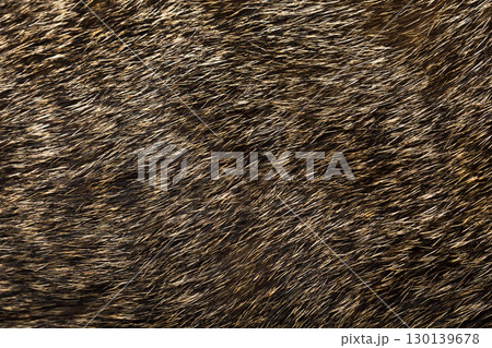 Rich Brown Animal Fur Texture Displaying Natural Fibrous Pattern and Organic Surface Detail 130139678