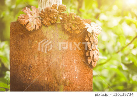 Old rusty metal sign with copyspace for backgrounds or textures. 130139734