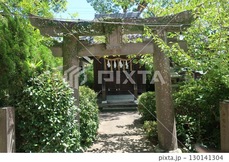 緑に囲まれた神社の鳥居 緑に囲まれた神社の鳥居 130141304