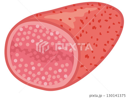 断面の見えるカット辛子明太子（トウガラシ粉末付き） 130141375
