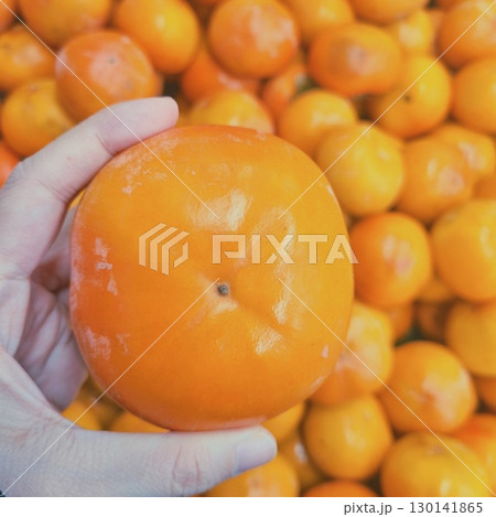 The images show a hand holding a ripe, bright orange sweet persimmon, with a large pile of persimmons in the background. The images show a hand holding a ripe, bright orange sweet persimmon, with a large pile of persimmons in the background. 130141865