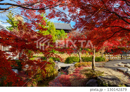 秋の萬福寺と紅葉 秋の萬福寺と紅葉 130142879