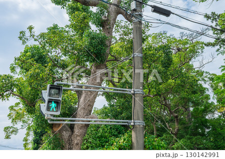 ストレートアームの歩行者用灯器(青信号) ストレートアームの歩行者用灯器(青信号) 130142991