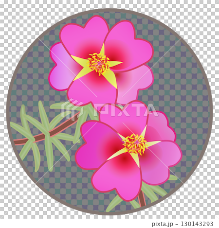 円形背景つき松葉牡丹のイラスト 130143293