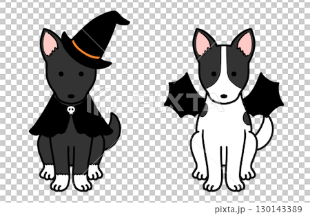 ハロウィンコスチュームの犬・保護犬・雑種犬 130143389