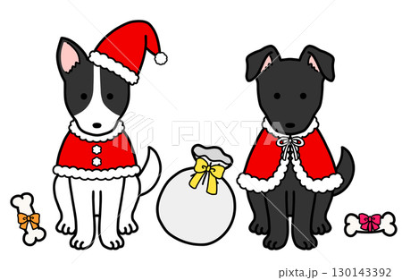 クリスマスコスチュームの犬・保護犬・雑種犬 クリスマスコスチュームの犬・保護犬・雑種犬 130143392