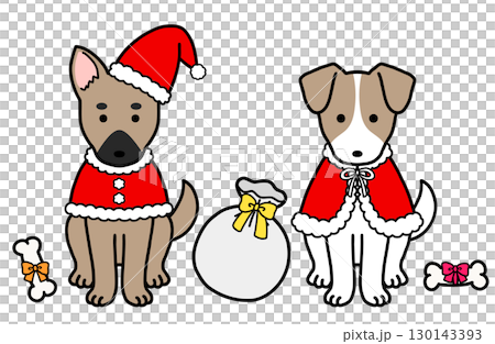 Dogs, rescue dogs, and mixed breed dogs in Christmas costumes 130143393