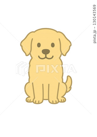 幼稚園・保育園向け ゴールデンレトリーバーのゆるかわキャライラスト(背景透過) 幼稚園・保育園向け ゴールデンレトリーバーのゆるかわキャライラスト(背景透過) 130143569