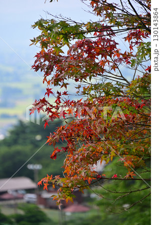 日本遺産・井波 130143864