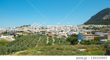 Rute with olive groves and a mountain behind 130143955