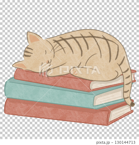 読書の秋 本と茶トラ猫 読書の秋 本と茶トラ猫 130144713