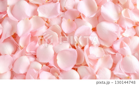 《AI画像》敷き詰められたピンク色の薔薇の花びら 130144748