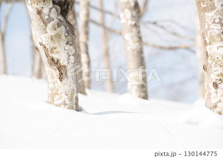 雪山のイメージ 130144775