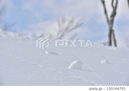雪玉のイメージ 130144791