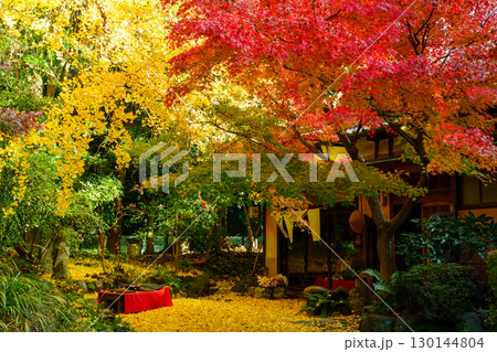紅葉のある風景 萬福寺 銀杏庵 紅葉のある風景 萬福寺 銀杏庵 130144804