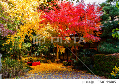 紅葉のある風景 萬福寺 銀杏庵 紅葉のある風景 萬福寺 銀杏庵 130144805