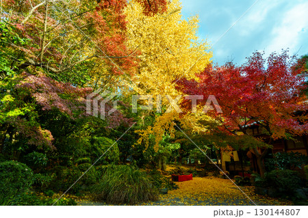 紅葉のある風景 萬福寺　銀杏庵 130144807